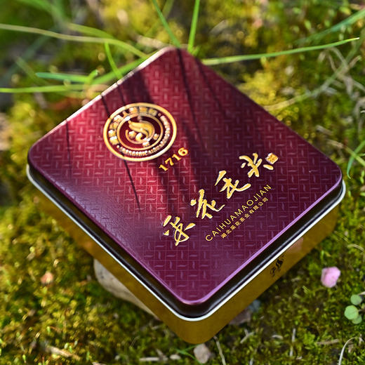 2026新茶采花毛尖1716礼盒 明前早春嫩芽 205g 商品图3