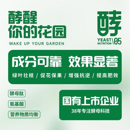 福邦液体肥安小主酵母靓叶素 商品图3