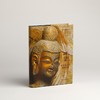 《对望：青州龙兴寺造像艺术》 商品缩略图0