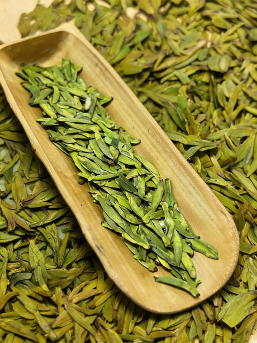 880龙井茶（250克/袋） 商品图0