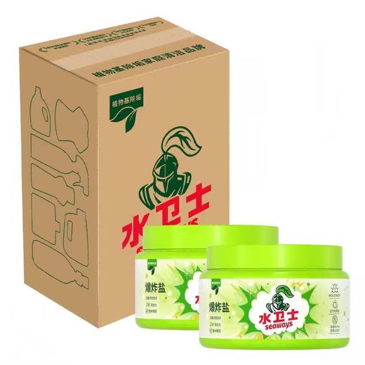 水卫士 爆炸盐2件套装WS116/1Kg/瓶*2 6973688407963 商品图0
