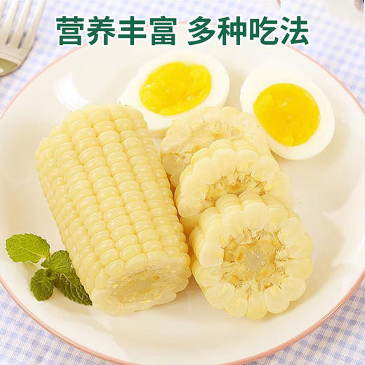 【江苏农垦】响垦臻品丨白甜糯玉米 2kg（10根） 商品图3