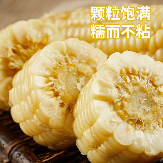 【江苏农垦】响垦臻品丨白甜糯玉米 2kg（10根） 商品图4