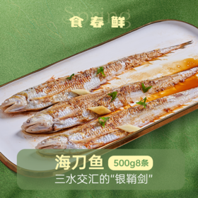 冰鲜丨海刀鱼 500g/8条 小号实惠尝鲜 鳞片全 鲜度高 弱骨柔肌 鳞如细浪