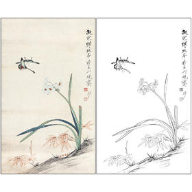 工笔画白描底稿于非闇花鸟《水仙双蝶》临摹勾线高清打印稿FA62