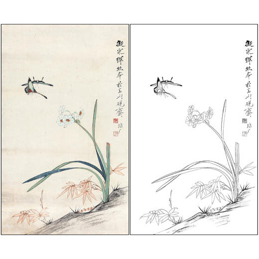工笔画白描底稿于非闇花鸟《水仙双蝶》临摹勾线高清打印稿FA62 商品图0