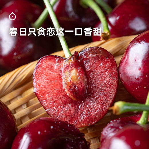 企鹅市集|大连 吉塞拉美早樱桃 多规格可选 新鲜滋味 自然成熟 商品图1