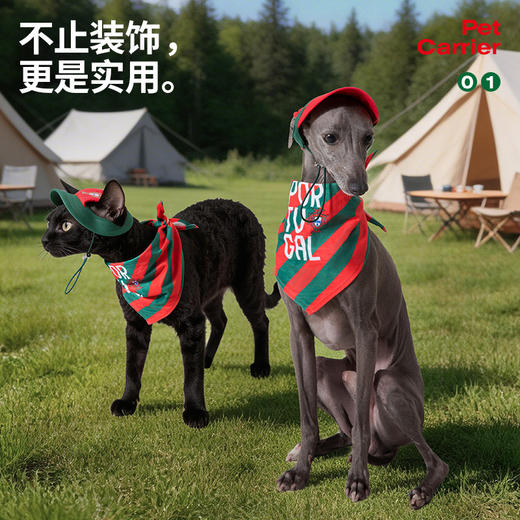 【官方正版】葡萄牙国家队 | 宠物实用配饰口水巾渔夫帽棒球帽 商品图0