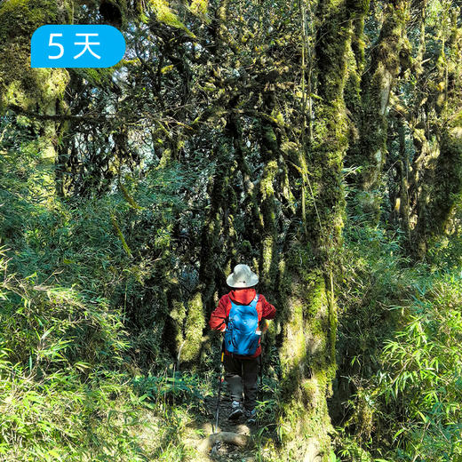 秘境哀牢山｜ 穿越迷雾森林+徒步元阳梯田 23公里轻徒步 5日 商品图3
