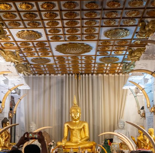 斯里兰卡，人文锡兰，隐匿于自然，循迹巴瓦 8天7晚 商品图9