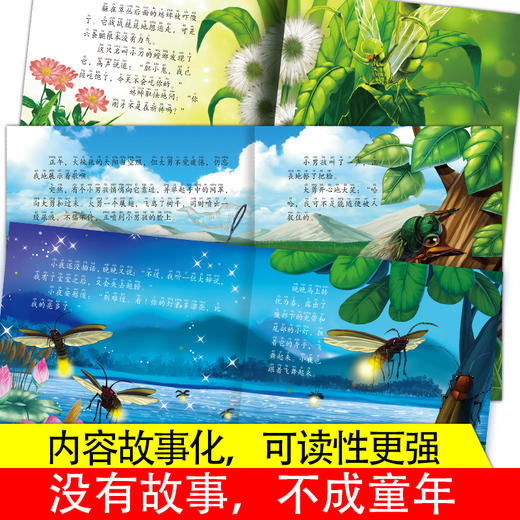 《法布尔昆虫记美绘本》全12册 商品图3