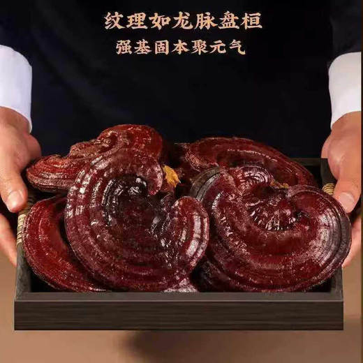 【福东海】灵芝礼盒 300g×2袋 整朵灵芝片可磨灵芝粉泡酒药材礼盒送礼滋补年货 商品图1