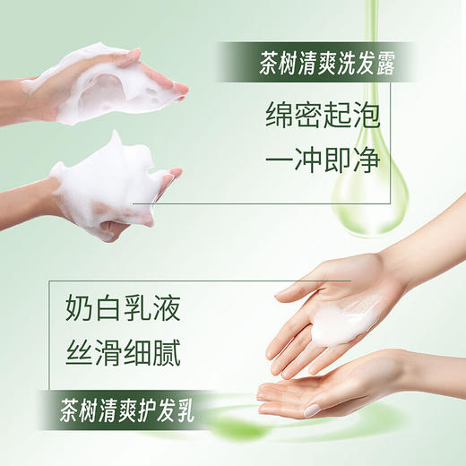 天然之扉 茶树清爽护发素532ml 78347023068 商品图1