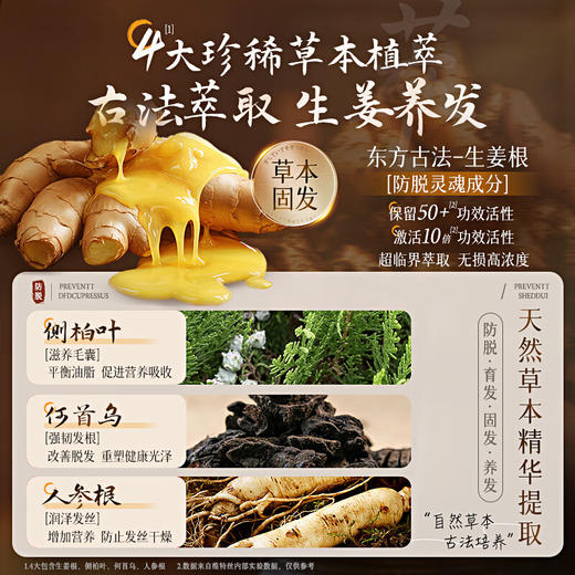 维特丝 生姜防脱固发洗发水800ml（直圆棕瓶） VXL9043 商品图3