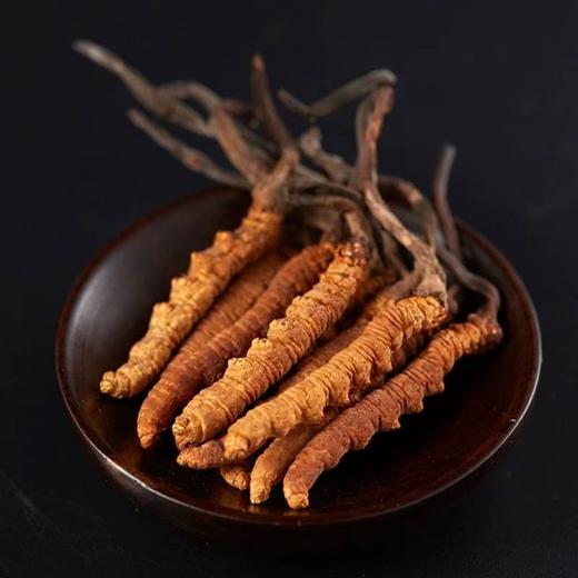 神象西藏那曲冬虫夏草6克扎花自用小草非培育 商品图1