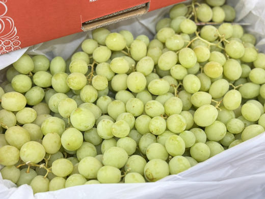 澳洲空运秋天酥青提（散称23.8/斤称重补差） 商品图2