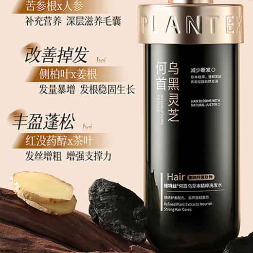 维特丝 何首乌草本精粹洗发水500g（黑灵芝） VXL9218 商品图4