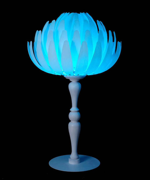 DWJ-CP-115花器（运费自理） 商品图0