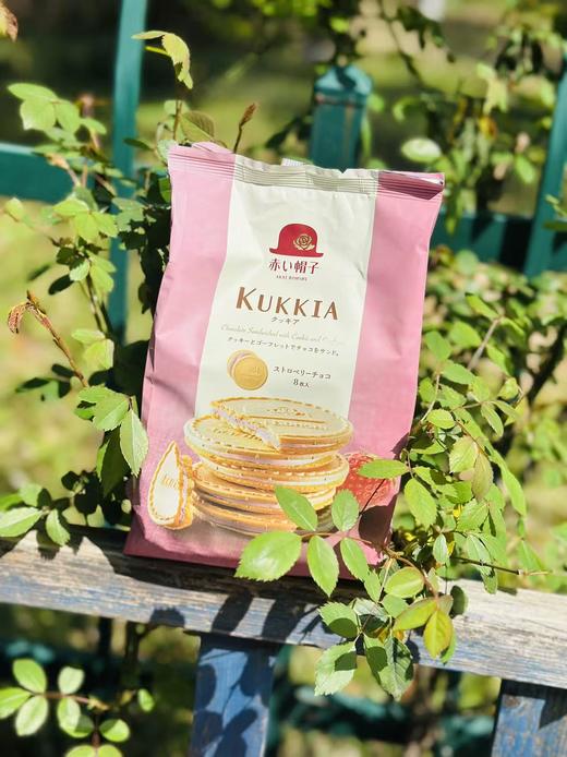 红帽子曲奇薄饼|这薄饼我能炫一辈子，当平时的碎嘴零食～一块薄薄的，没有负担四个味道，都是独立包装的，太方便了！包装设计也很讨喜~ 商品图4