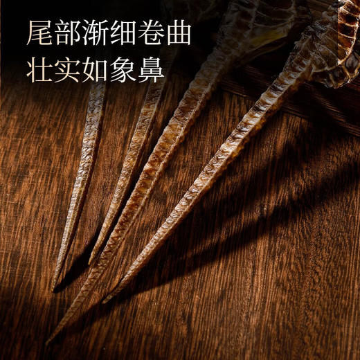 福东海 海马6克  一公一母海马干煲汤泡酒药材料 商品图7