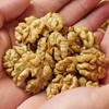 【新货】185核桃仁新疆原味生核桃仁 豆浆烘焙原料 商品缩略图2