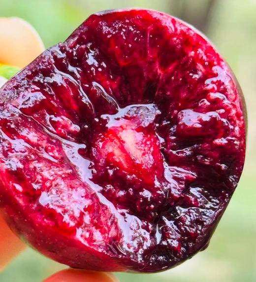 黑珍珠樱桃，你的高贵之选！春日里的小确幸，就是邂逅这一颗颗乌黑发亮的黑珍珠樱桃呀！它们不仅是水果界的颜值担当，更是味觉的极致诱惑～轻轻一咬，哇！满口的鲜甜与醇厚，汁水四溢，简直不要太满足！快来尝鲜吧~ 商品图4