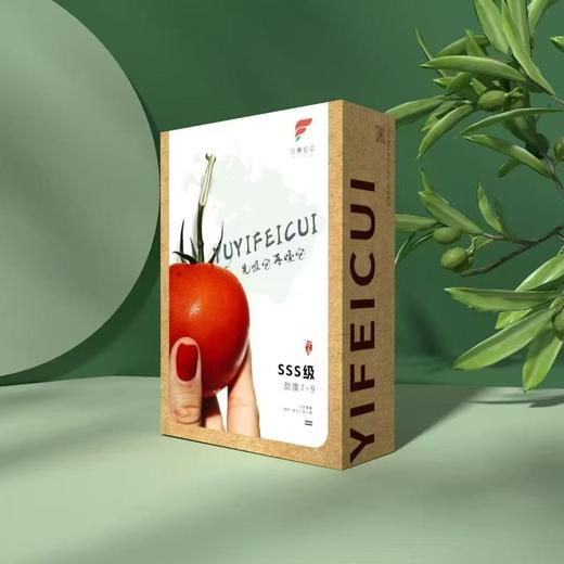 【会员23.5/斤】羽翼妃翠高糖番茄 商品图2