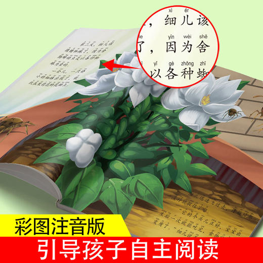 《法布尔昆虫记美绘本》全12册 商品图2