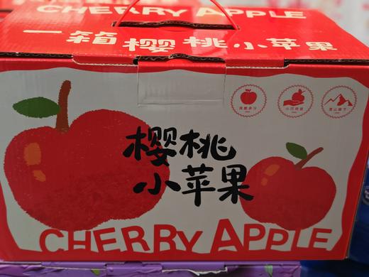 樱桃小苹果 商品图0