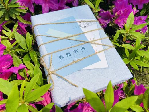 【赠送定制卡片】“大学问”盲盒  图书市集限定盲盒 广西师范大学出版社 单本装 商品图4