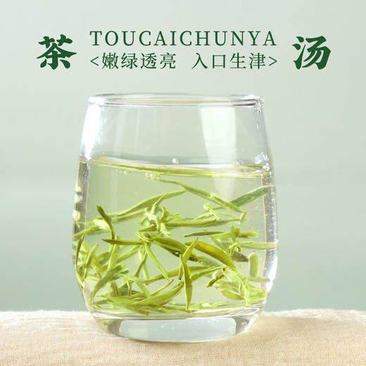 2026新茶采花毛尖特级明前头采春芽100g五峰炒青绿茶 商品图2