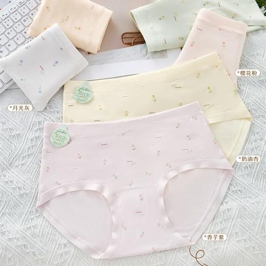 JHNY-6319#  【1条】中腰纯色莫代尔柔软舒适女士内裤10A级抑菌纯棉底裆 商品图0