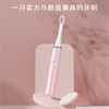 扬子 电动牙刷（电池款）产品功率：1W DF-002 商品缩略图1