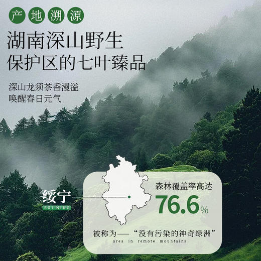 神农金康有机绞股蓝150g深山嫩芽尖高山茶 养生茶 商品图4