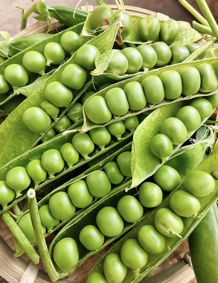 云南带壳甜豌豆