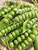 云南带壳甜豌豆 商品缩略图0