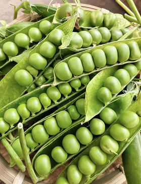 云南带壳甜豌豆