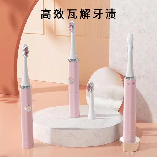 扬子 电动牙刷（电池款）产品功率：1W DF-002 商品图3