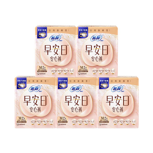 苏菲 早安日安心裤M码2条*5包 SFOAMJ2T5B 商品图0