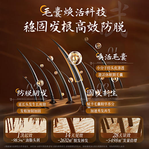 维特丝 生姜防脱固发洗发水800ml（直圆棕瓶） VXL9043 商品图2