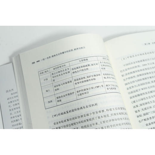 一粒一世界：粮食文化传播中的话语、秩序与权力 段永杰著 法律出版社 商品图1