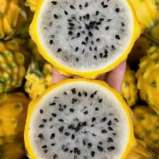 【BF】燕窝果 19.5/个 商品图0