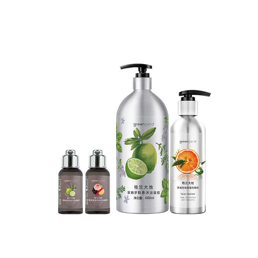 格兰大地 雨后松林洗面奶200ml+沐浴凝胶600ml+沐浴凝胶35ml*2 GLDD261 商品图0