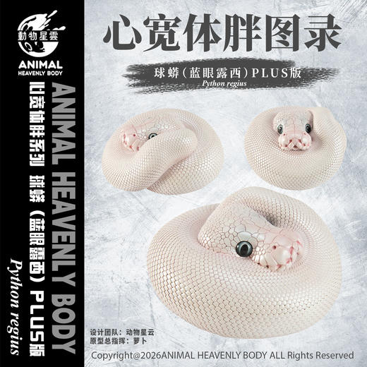 心宽体胖 蛇主题模型plus特别版 球蟒蟒蛇 树脂材质摆件潮玩 ★动物星球动物星云官方正版【48小时发货】 商品图1