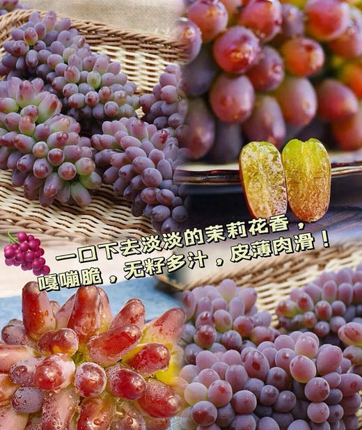 【诸小沃-茉莉香无籽提】高甜，汁多，皮薄，无核还带着清新淡雅的茉莉香-CC 商品图7