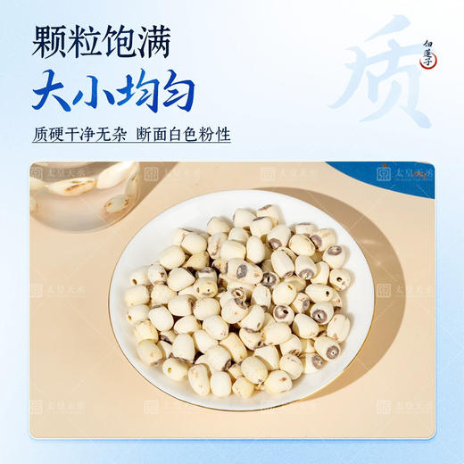 白莲子中药饮片250g/袋白莲子官方旗舰店去芯干货湖南湘潭道地 商品图3