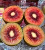 【春日限定】山姆盒马同款佳沛红宝石奇异果猕猴桃大果顺丰包邮*2盒（共8粒） 商品缩略图1
