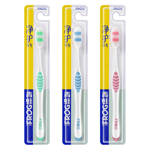 FROG青蛙 165B牙刷C9版-13支装 QT165B-C9 商品图0