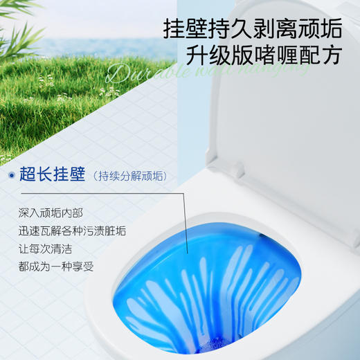 蓝漂 洁厕剂500g*5瓶装 6922454372233-2 商品图2