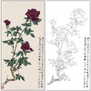 工笔画白描底稿于非闇花鸟《月季花》临摹勾线高清打印稿FA63 商品缩略图0